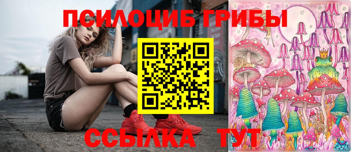 Отрадный  Галлюциногенные грибы мицелий  как найти закладки  Вход с VPN 