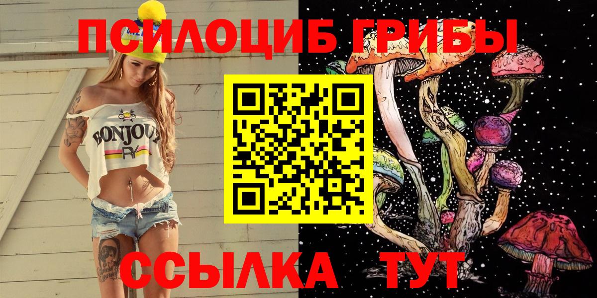 Псилоцибиновые грибы GOLDEN TEACHER Отрадный